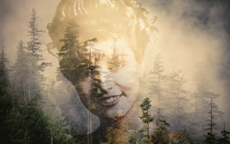 I segreti di Twin Peaks: il "Male che viene dal bosco"
