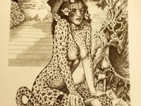 Fuori ora! "Cheetah, la ragazza ghepardo" di Christopher Blayre
