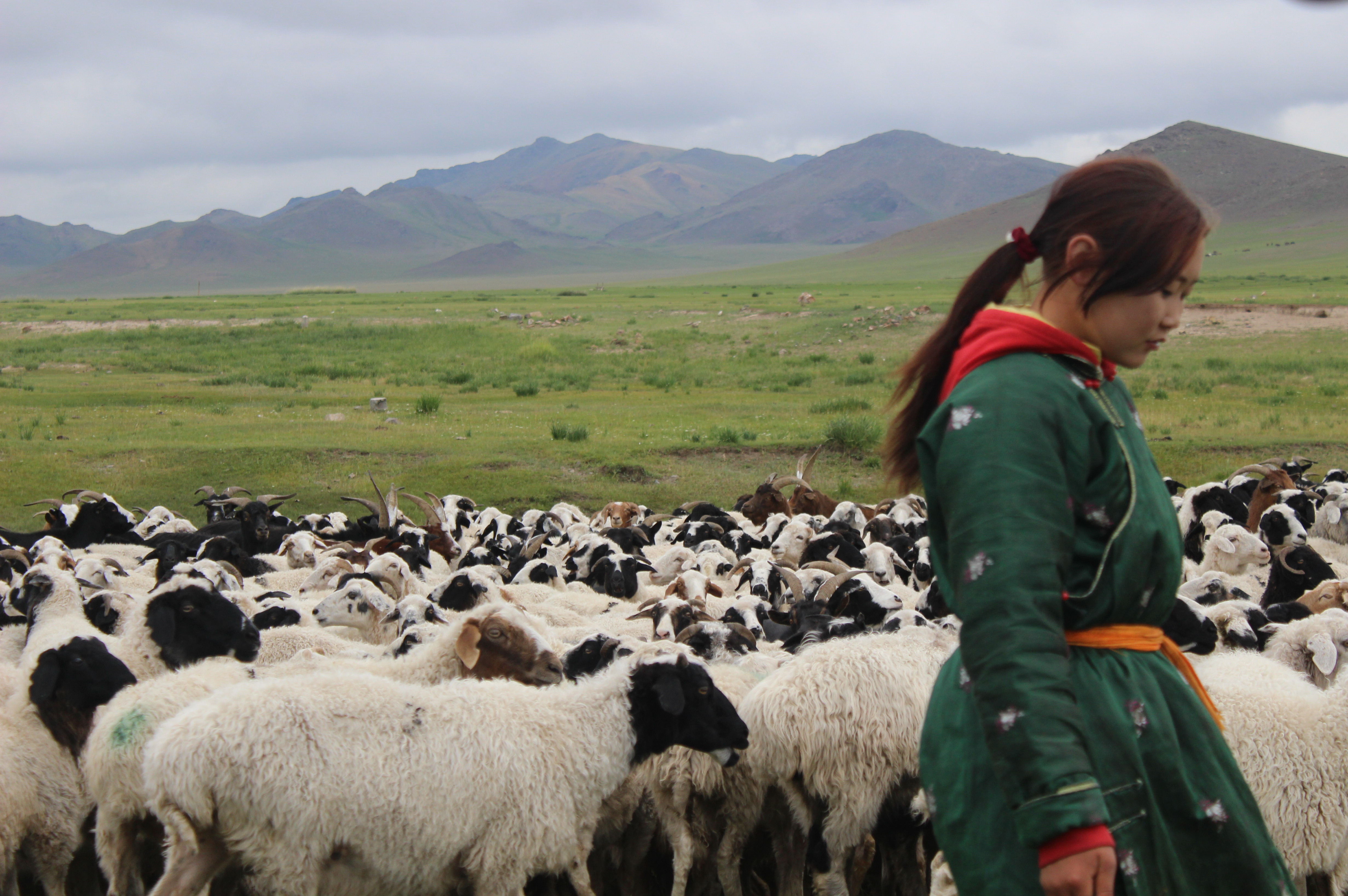 Reportage fotografico di viaggio: Mongolia Settentrionale (parte I)