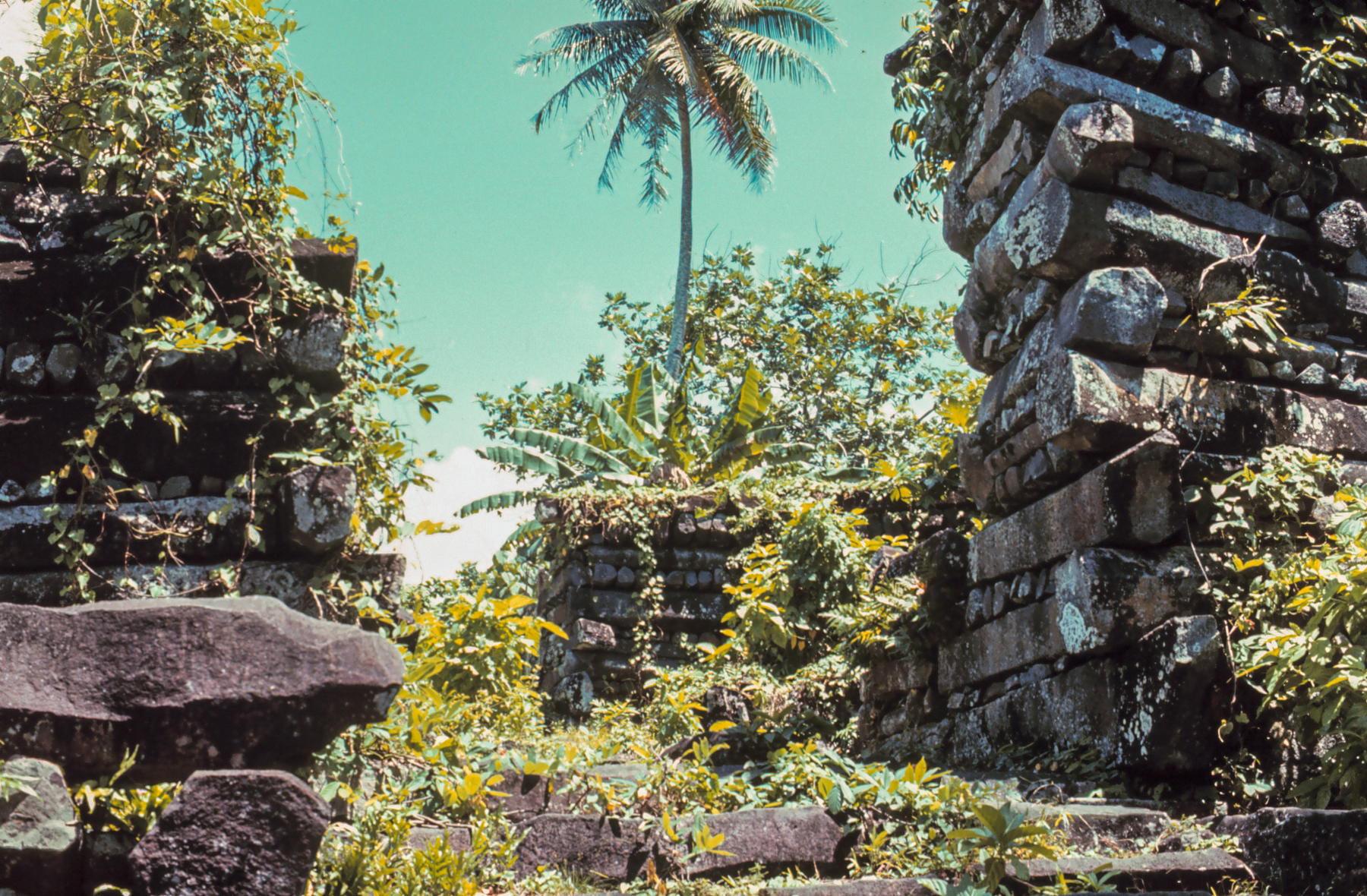 The cyclopean ruins of Nan Madol in Pohnpei, in the Caroline Islands