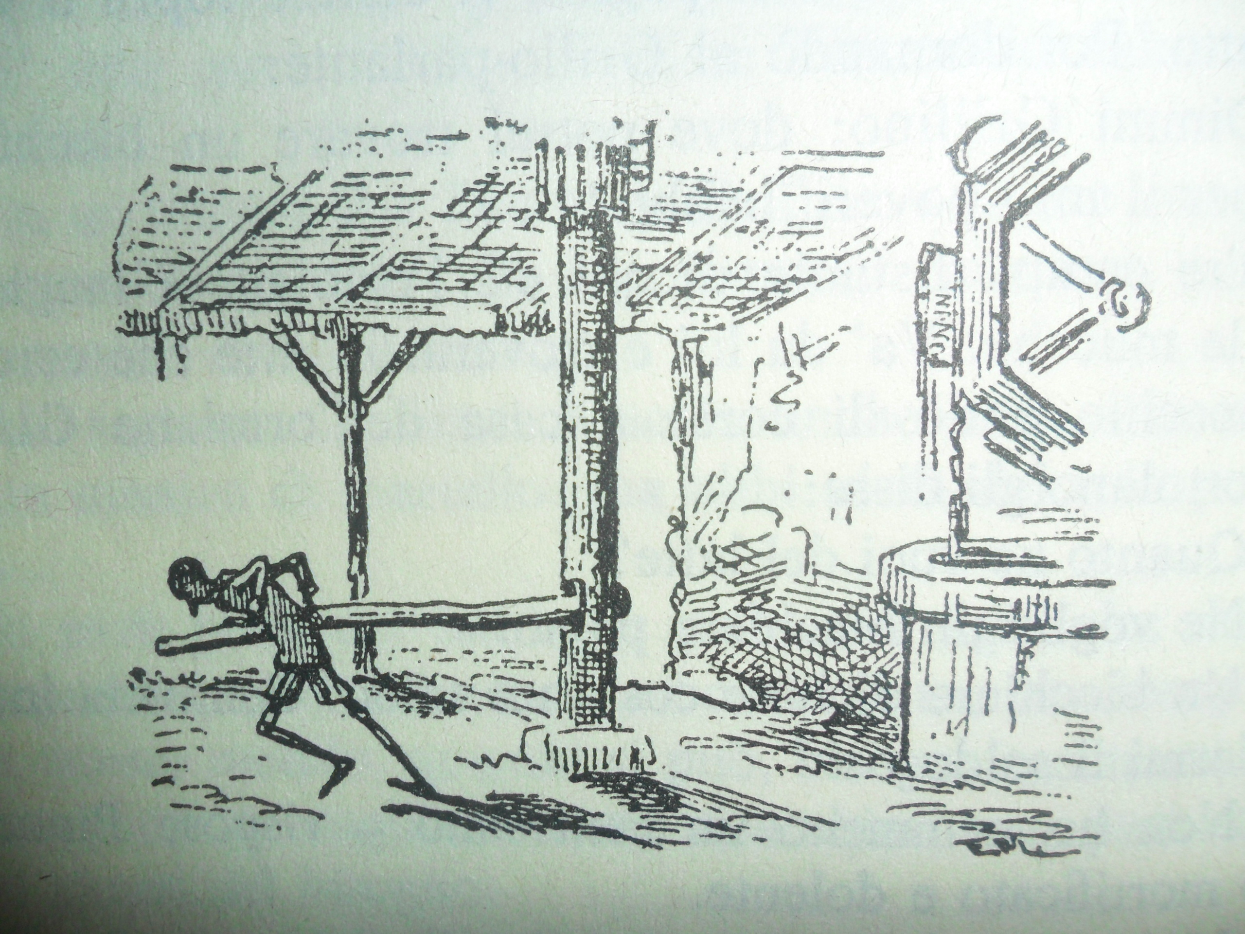 Bindolo Pinocchio drawing Mazzanti