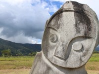Bada Valley: the "xenomorphic" megaliths in the jungle