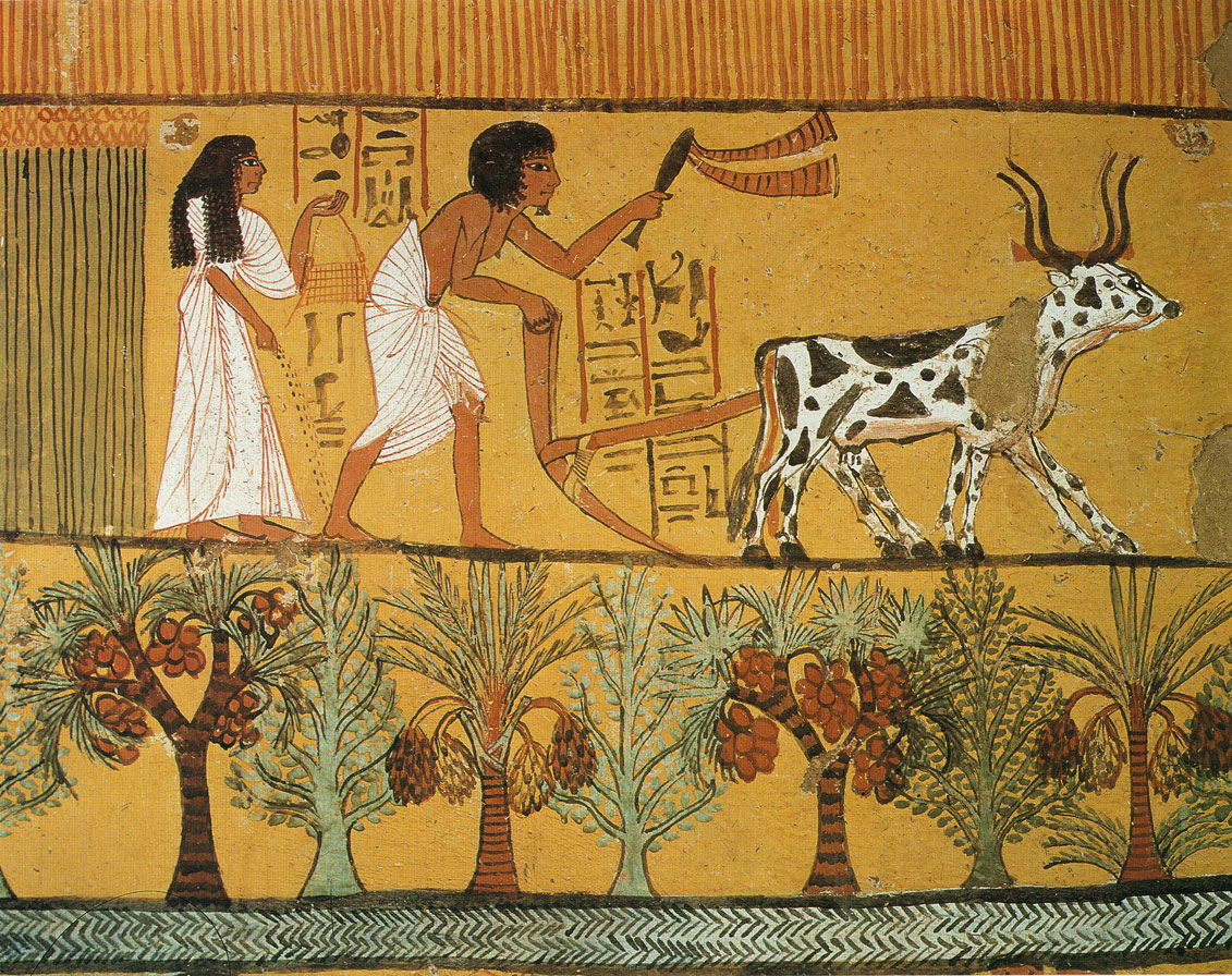 L'umanesimo degli antichi Egizi e la sua attualità (I)