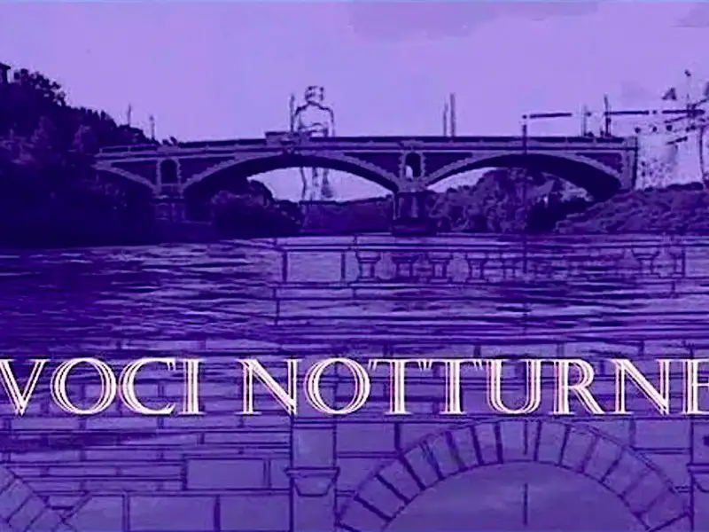 Nocturnal voices at the Sublicio bridge