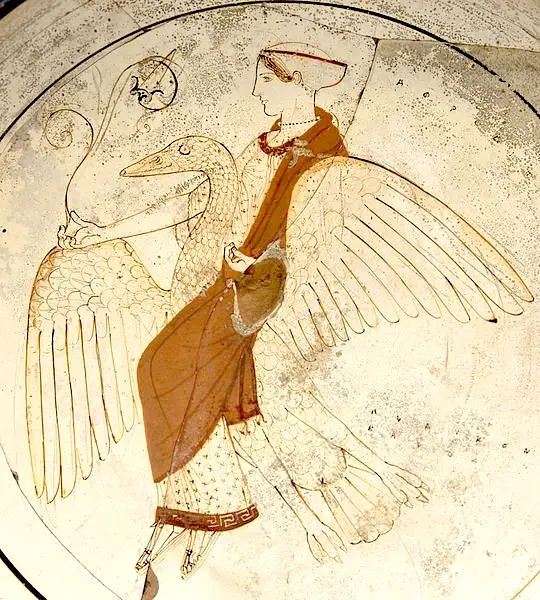 AFRODITE - Ariadne Afrodite-cigno