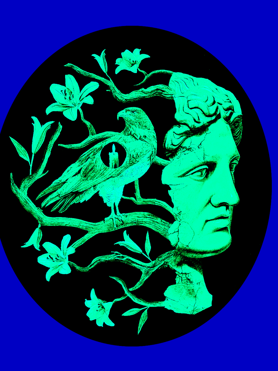 Apollo, Engel des Abgrunds (Giovanni Sessa, «Die Borghese»)