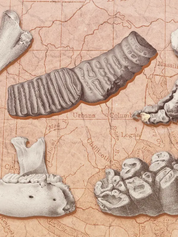 „Fossil Legend“: Fossilien und frühe nordamerikanische Geomythologie